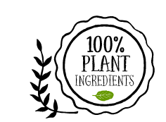 100% Plant-based Burgers.